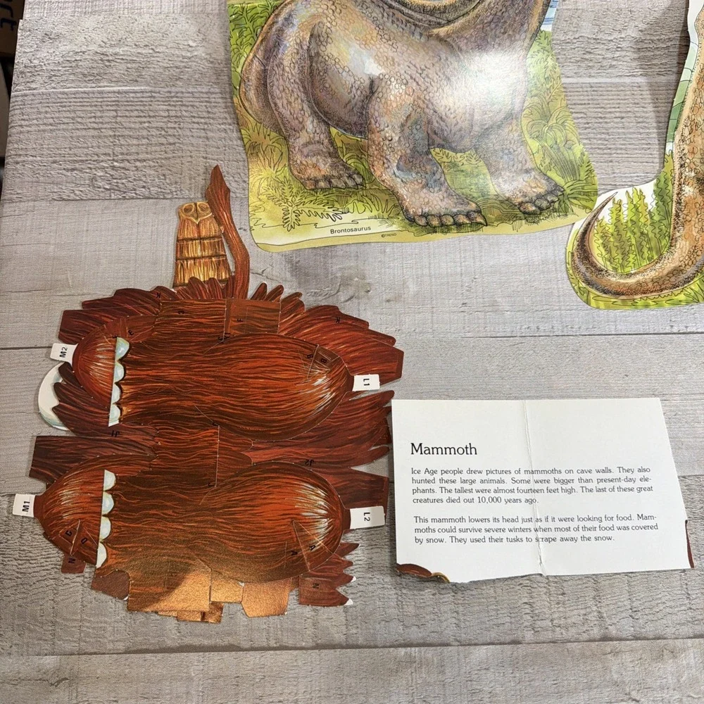 Watermill Press cards includes display